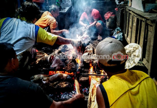 Penyedia Jasa Pembakaran Kepala Hewan Jadi Incaran